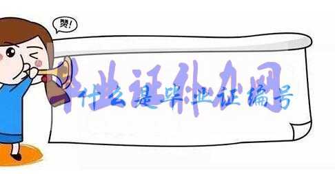 高中畢業證編號填寫格式及方法解析！